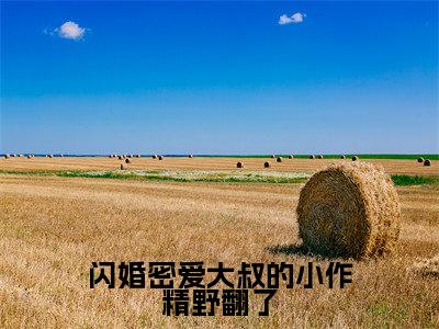 闪婚密爱大叔的小作精野翻了小说热门榜单免费阅读，何芊遥霍瑾誉抖音新上热文分享_笔趣阁（闪婚密爱大叔的小作精野翻了）