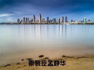 秦骁臣孟静华小说全文免费阅读无弹窗大结局_（孟静华秦骁臣免费阅读无弹窗）最新章节列表_笔趣阁