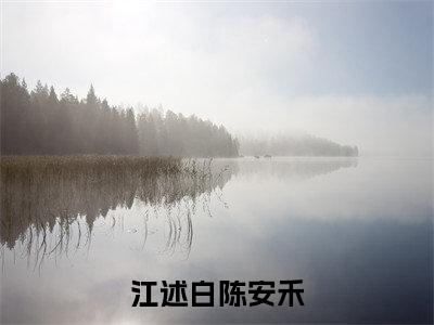 江述白陈安禾（陈安禾江述白）小说全文免费阅读无弹窗大结局_（江述白陈安禾全文免费阅读）陈安禾江述白最新章节列表