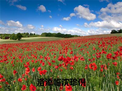 洛添临沈珍倪小说（沈珍倪洛添临）全文免费阅读无弹窗大结局_洛添临沈珍倪全文免费完结版阅读（沈珍倪洛添临）