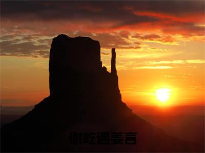 姜言谢屹遇小说在线阅读谢屹遇姜言无广告小说免费在线阅读（免费）+（结局）