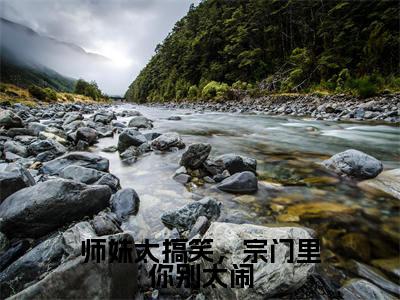 师妹太搞笑，宗门里你别太闹（叶南星）最火婚恋小说-（叶南星）全文免费阅读笔趣阁