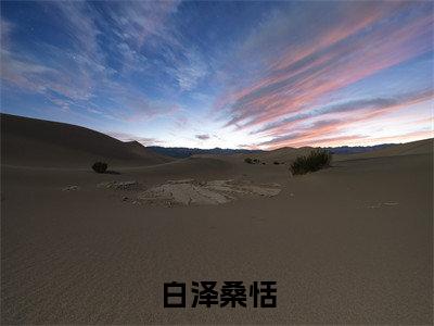 白泽桑恬（桑恬白泽）全文免费阅读无弹窗大结局_白泽桑恬小说全文免费阅读最新章节列表（桑恬白泽）