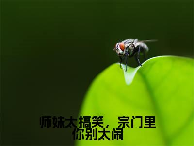 师妹太搞笑，宗门里你别太闹（叶南星）全文免费阅读无弹窗-（师妹太搞笑，宗门里你别太闹）叶南星小说全文在线赏析