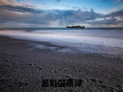 温姒盛嘉泽盛嘉泽温姒是什么小说-温姒盛嘉泽全文免费阅读无弹窗大结局（盛嘉泽温姒）最新章节列表在线阅读