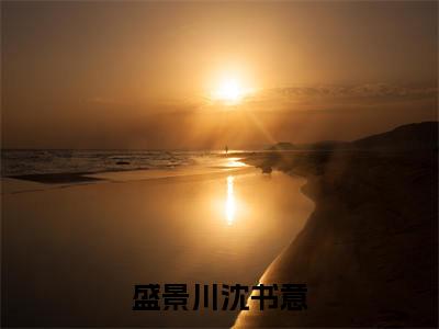 盛景川沈书意（沈书意盛景川）全文免费阅读无弹窗_盛景川沈书意最新小说_笔趣阁（沈书意盛景川）