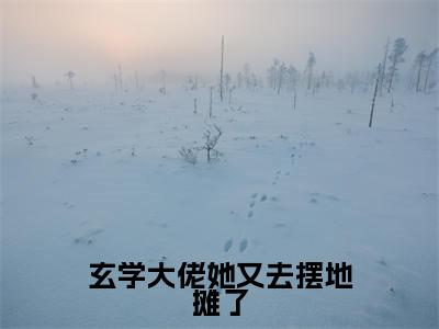 玄学大佬她又去摆地摊了无广告小说免费阅读，玄学大佬她又去摆地摊了卫绵完结小说在线阅读