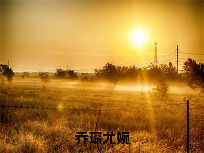 乔琛尤婉小说全文免费阅读_（乔琛尤婉）尤婉乔琛小说最新章节列表笔趣阁