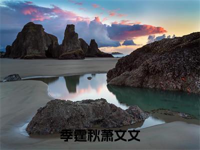 季霆秋萧文文免费小说萧文文季霆秋全文完整版阅读