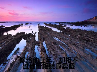（嫁给他三年，却抵不过他青梅装疯卖傻）在线阅读-主角是（许容辞程璃）的小说嫁给他三年，却抵不过他青梅装疯卖傻全文赏析最新章节列表_笔趣阁