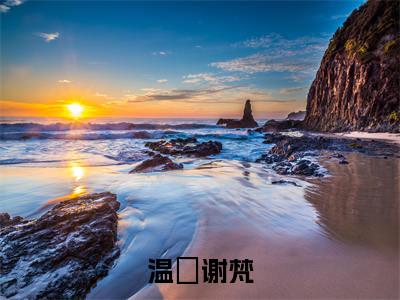 谢梵温婳免费阅读（温婳谢梵）全文免费阅读无弹窗大结局_谢梵温婳免费阅读最新章节列表