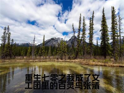 魏元洲张清（完整版）热文小说阅读-魏元洲张清全文抖音热推