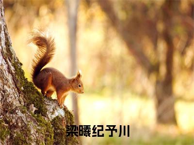 梁曦纪予川（梁曦纪予川）全文免费阅读无弹窗大结局_（梁曦纪予川）小说免费阅读最新章节列表