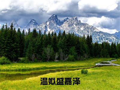 温姒盛嘉泽全文免费阅读无弹窗大结局_温姒盛嘉泽章节列表_笔趣阁