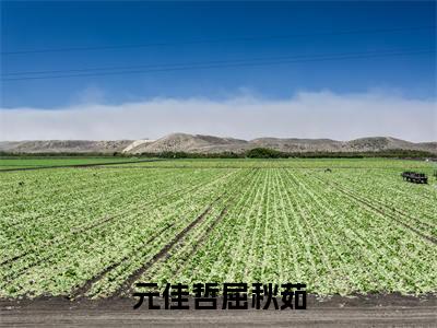 元佳哲屈秋茹全文免费阅读大结局_元佳哲屈秋茹全文免费阅读无弹窗_笔趣阁（屈秋茹元佳哲）