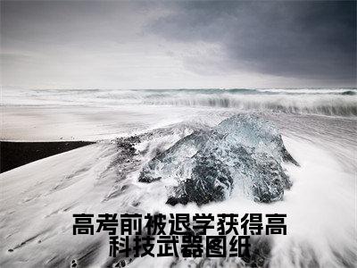高考前被退学获得高科技武器图纸（林海李慕儿小说）全文免费阅读无弹窗大结局_林海李慕儿完整版小说阅读