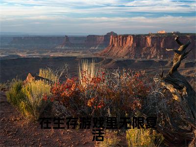 在生存游戏里无限复活小说（苏曼）全文免费阅读无弹窗大结局_在生存游戏里无限复活全文免费完结版阅读（苏曼）