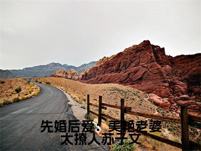 先婚后爱：美艳老婆太撩人苏子文全文全章节免费阅读-苏子文沈念一全文免费阅读无弹窗大结局
