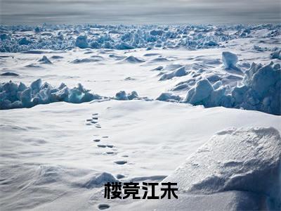 楼竞江未全文免费阅读无弹窗大结局-江未楼竞小说在哪里可以看