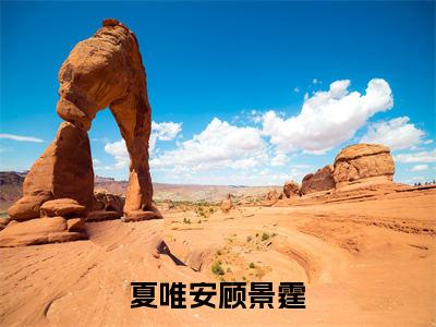 夏唯安顾景霆（夏唯安顾景霆）快手热推小说主角夏唯安顾景霆完整版在线阅读