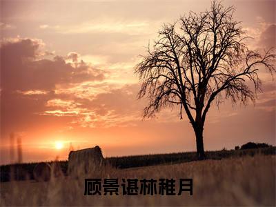 顾景谌林稚月（主角是顾景谌林稚月全文免费阅读无弹窗）_顾景谌林稚月全文免费阅读无弹窗大结局