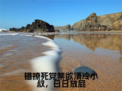 风凌寒楚怡然（错撩死党禁欲清冷小叔，日日放屁全文免费阅读）无弹窗-风凌寒楚怡然（错撩死党禁欲清冷小叔，日日放屁）完整版在线赏析笔趣阁