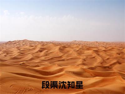 段渠沈知星（沈知星段渠）精彩热门小说-段渠沈知星全章节免费阅读