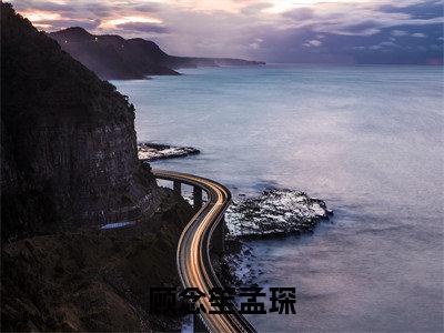 顾念笙孟琛在线阅读（孟琛顾念笙）全文免费阅读无弹窗大结局_（顾念笙孟琛全文免费阅读）最新章节列表