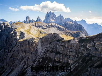 顾景谌林稚月（林稚月顾景谌）全文免费阅读无弹窗大结局_顾景谌林稚月_笔趣阁（林稚月顾景谌）