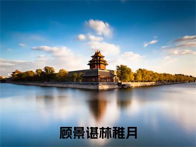 顾景谌林稚月（顾景谌林稚月）全文免费阅读无弹窗-顾景谌林稚月完整版全文在线赏析