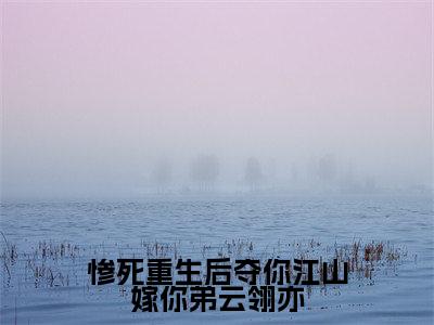 叶酥汐云翎亦（惨死重生后夺你江山嫁你弟云翎亦小说）全文免费阅读无弹窗大结局_惨死重生后夺你江山嫁你弟云翎亦小说最新章节列表