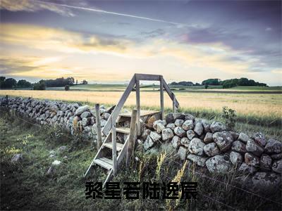 陆逸宸黎星若（黎星若陆逸宸）全文免费阅读无弹窗大结局_陆逸宸黎星若最新章节列表