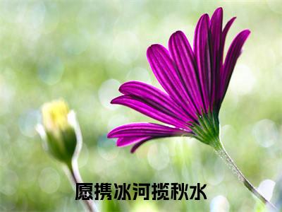 愿携冰河揽秋水（苏醉欢裴长策）全文免费阅读无弹窗大结局_愿携冰河揽秋水最新章节列表-笔趣阁苏醉欢裴长策