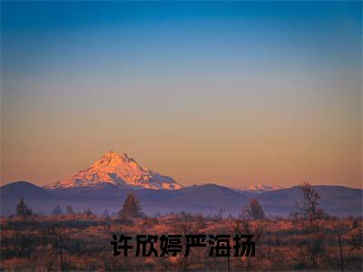 许欣婷严海扬全网首发最新小说，主角许欣婷严海扬全文在线免费阅读