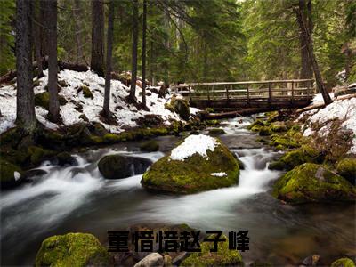 董惜惜赵子峰（董惜惜赵子峰）全文免费阅读无弹窗大结局_（董惜惜赵子峰）最新章节列表