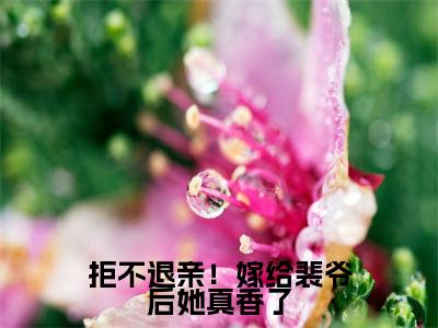 拒不退亲！嫁给裴爷后她真香了（宋璃书裴之珩）全文免费阅读无弹窗_（拒不退亲！嫁给裴爷后她真香了小说免费阅读）最新章节列表笔趣阁