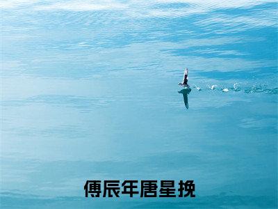 傅辰年唐星挽（唐星挽傅辰年）全文免费阅读无弹窗大结局_傅辰年唐星挽免费阅读最新章节列表_笔趣阁（唐星挽傅辰年）