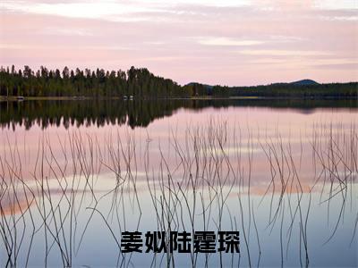 陆霆琛姜姒长篇免费小说，姜姒陆霆琛最新章节在线阅读
