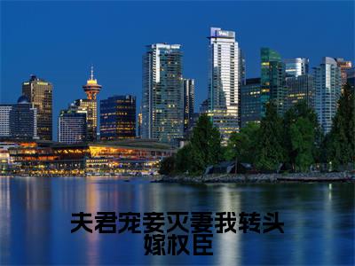 小说沈琼芝孙鸿渐（夫君宠妾灭妻我转头嫁权臣小说免费阅读）完结阅读，沈琼芝孙鸿渐在线阅读