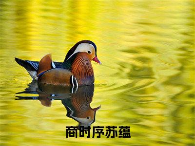 商时序苏蕴在线阅读（苏蕴商时序）全文免费阅读无弹窗大结局_（商时序苏蕴全文免费阅读）最新章节列表