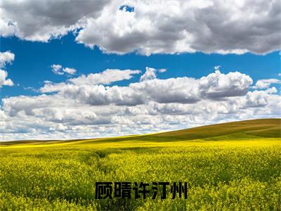 顾晴许汀州全文免费阅读无弹窗大结局_顾晴许汀州（许汀州顾晴）小说结局免费阅读（许汀州顾晴）