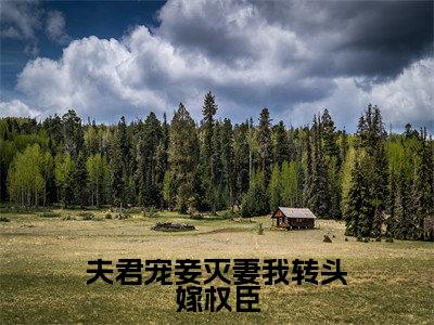 夫君宠妾灭妻我转头嫁权臣小说（沈琼芝孙鸿渐）全文免费阅读_（夫君宠妾灭妻我转头嫁权臣小说）沈琼芝孙鸿渐小说精彩在线赏析
