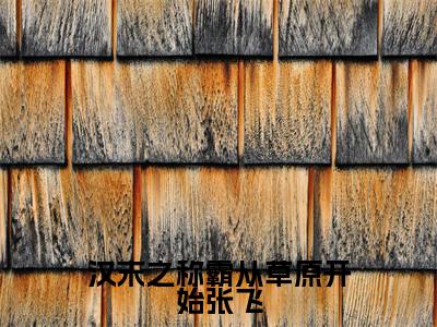 （李阳张飞后续+全集）汉末之称霸从草原开始张飞（李阳张飞）小说小说全集李阳张飞无删减在线阅读