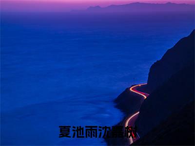 夏池雨沈嘉树高赞小说（夏池雨沈嘉树）完结阅读_夏池雨沈嘉树全文完整版免费阅读最新章节列表