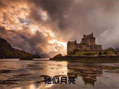 小说（她似月亮）明祝懿温砚清全文阅读-精彩美文她似月亮免费阅读