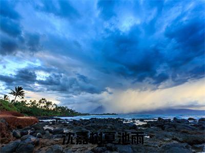 沈嘉树夏池雨（夏池雨沈嘉树）小说精彩免费内容_沈嘉树夏池雨最新章节全文阅读（夏池雨沈嘉树）