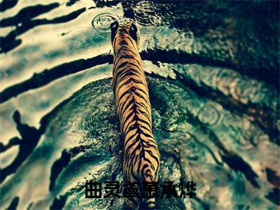 曲灵鸢萧承烨全文免费阅读_（曲灵鸢萧承烨免费阅读无弹窗）曲灵鸢萧承烨最新章节列表笔趣阁