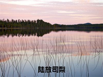 陆放司梨（司梨陆放）小说精彩免费内容_陆放司梨（司梨陆放）最新章节全文阅读大结局