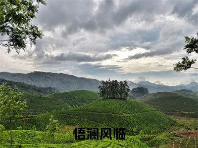 悟澜风临（风临悟澜）全文免费读无弹窗大结局_悟澜风临免费阅读全文大结局最新章节列表