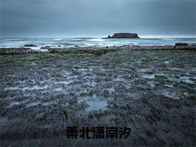 秦北潇南汐全文免费免费阅读无弹窗最新章节列表_笔趣阁（秦北潇南汐全文免费）